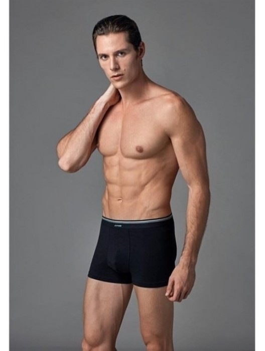 Eros Erkek Boxer 2'lİ Paket ERS008 resmi