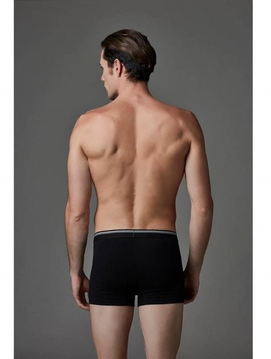 Eros Erkek Boxer 2'lİ Paket ERS008 resmi