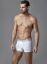 Dagi D4210 Erkek Boxer resmi