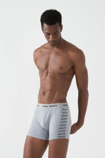 Marco Barrera 715 Boxer resmi
