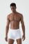 صورة Marco Barrera 797 Men Boxer