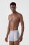 Marco Barrera 708 Boxer resmi
