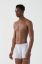 Marco Barrera 773 Bambu Boxer resmi