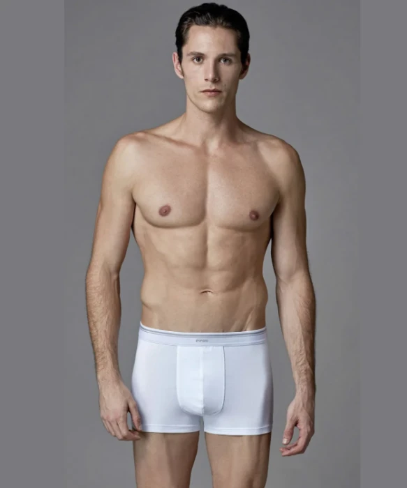 Eros Erkek Boxer 2'lİ Paket ERS008 resmi